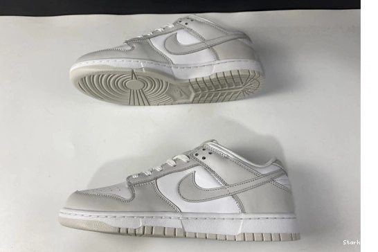 DD1503-103 "Photon Low Nike Dust" Dunk 0115